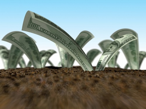 investment1 Blog