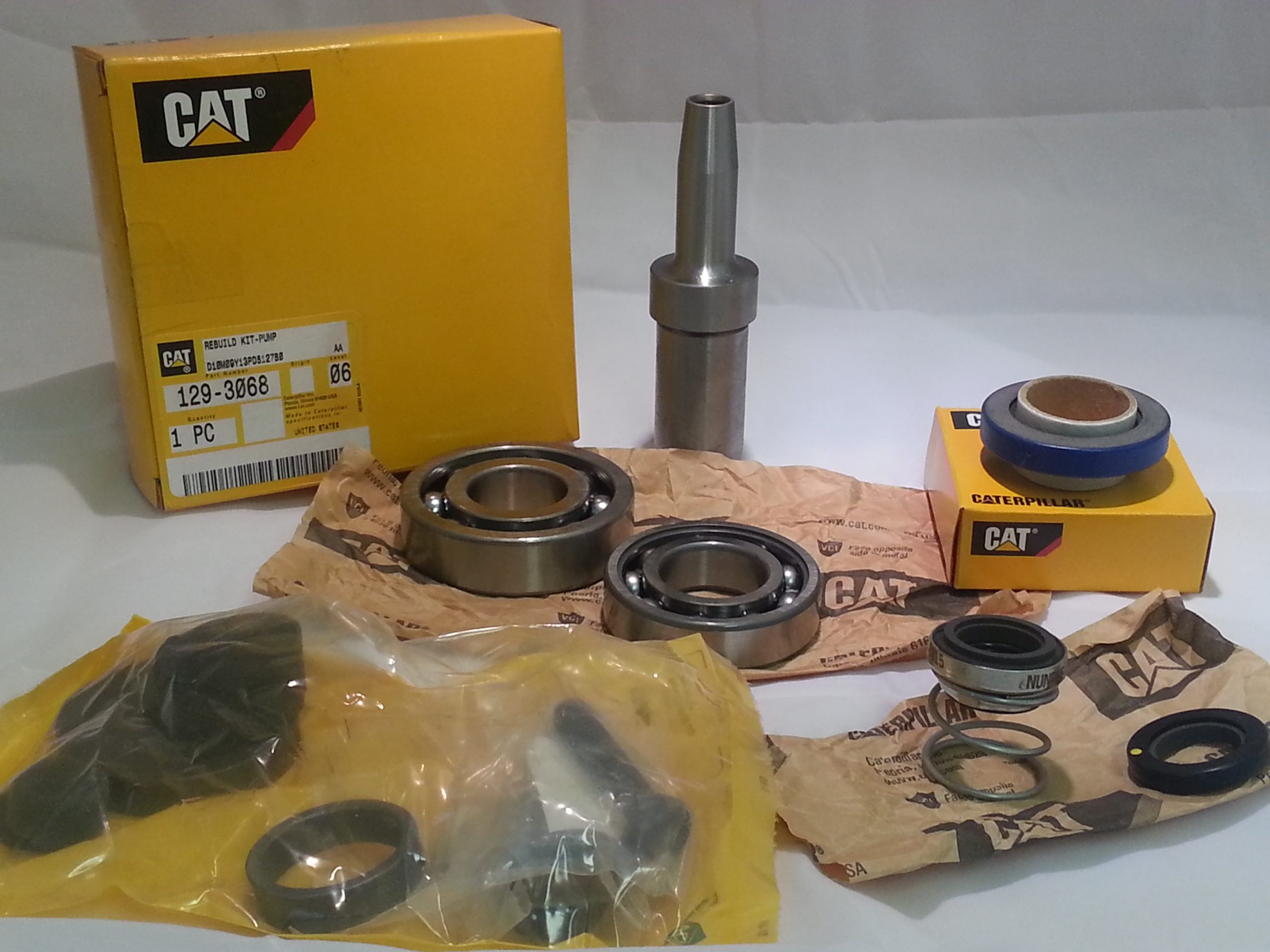129 3068 CAT scaled Det-Tronics
