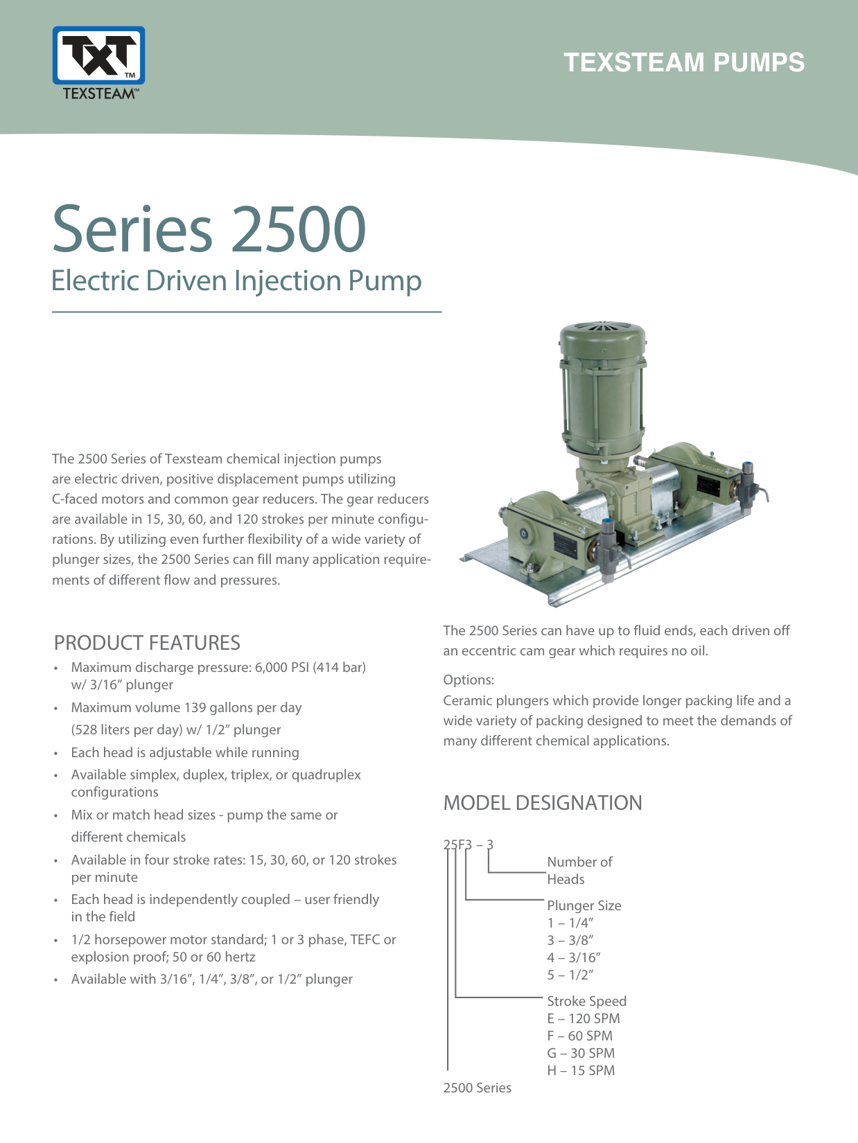 Texsteam Series 2500 Electric Driven Chemical Injection Pump