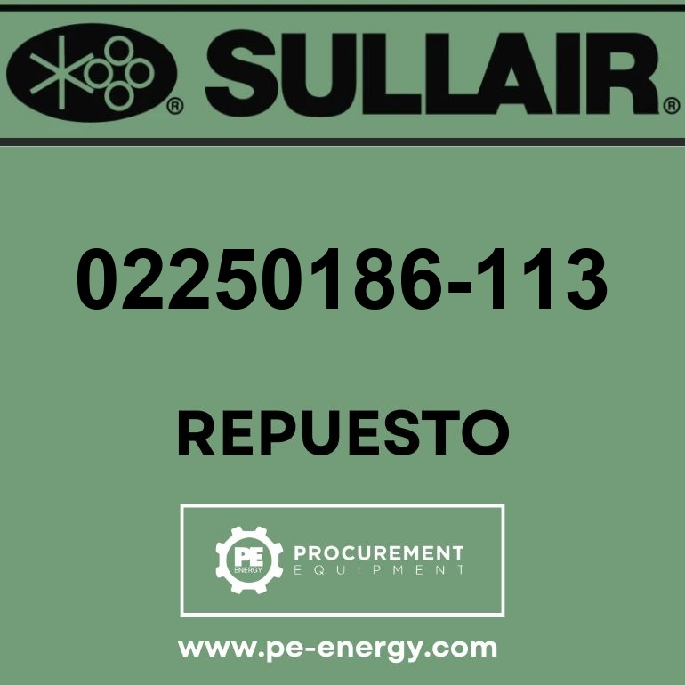 Sullair 02250186-113 Válvula, Chk 4″ Raised Face 316Sst