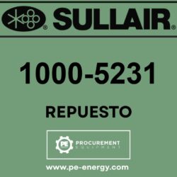 Sullair 1000-5231 Kit, Dsp3009Ay 2Yr