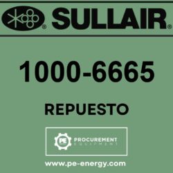 Sullair 1000-6665 Kit, Dsp9009/1109/Av 3Yr