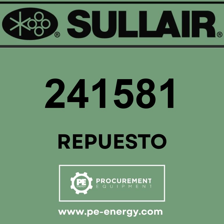 Sullair 241581 Válvula, Minimum Presure Check 1 1/4