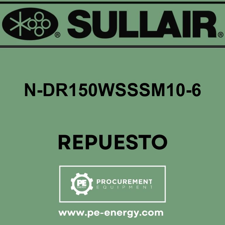 Sullair N-DR150WSSSM10-6 Válvula, Outlet/Purge Check 6″