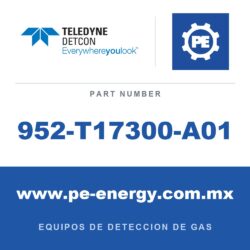 Detcon 952-T17300-A01 - Teledyne Detcon 952-T17300-A01 Analizador Model 1000, canal único, 0-10ppm H2S con falla de flujo de aire