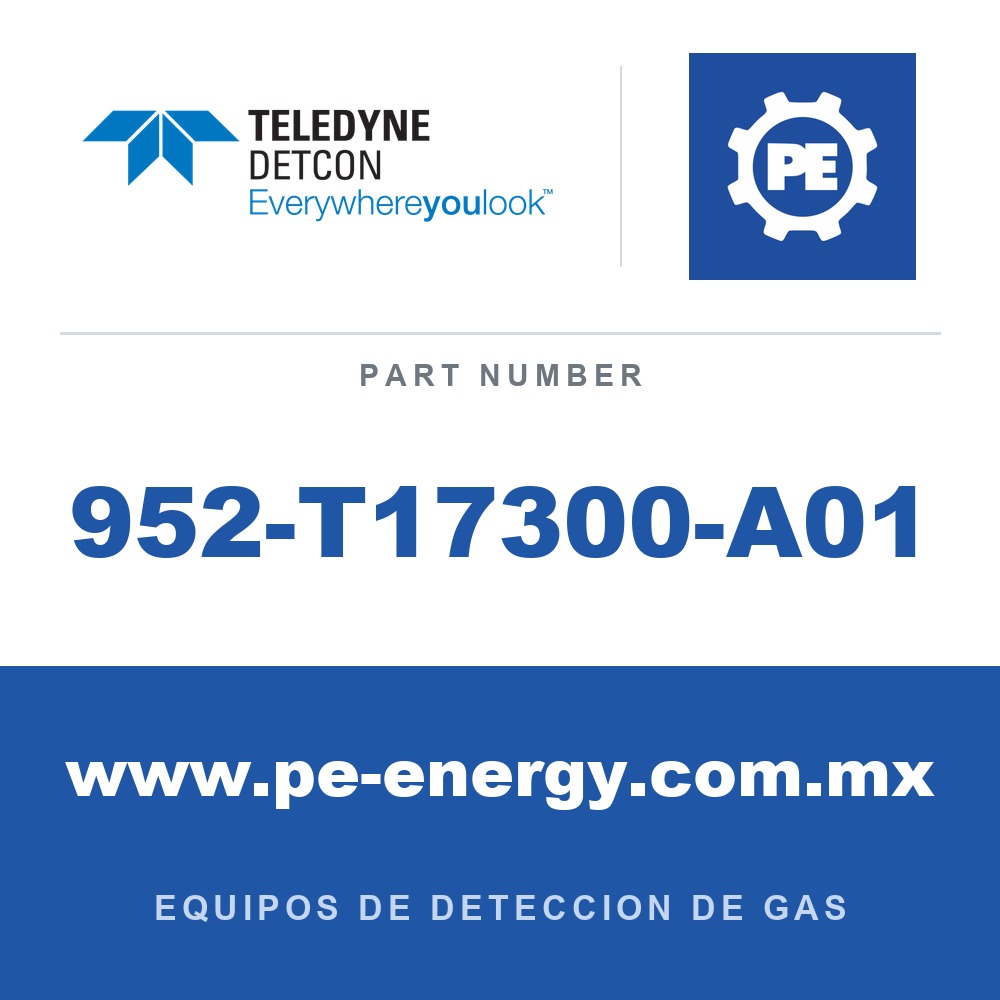 Detcon 952-T17300-A01 - Teledyne Detcon 952-T17300-A01 Analizador Model 1000, canal único, 0-10ppm H2S con falla de flujo de aire