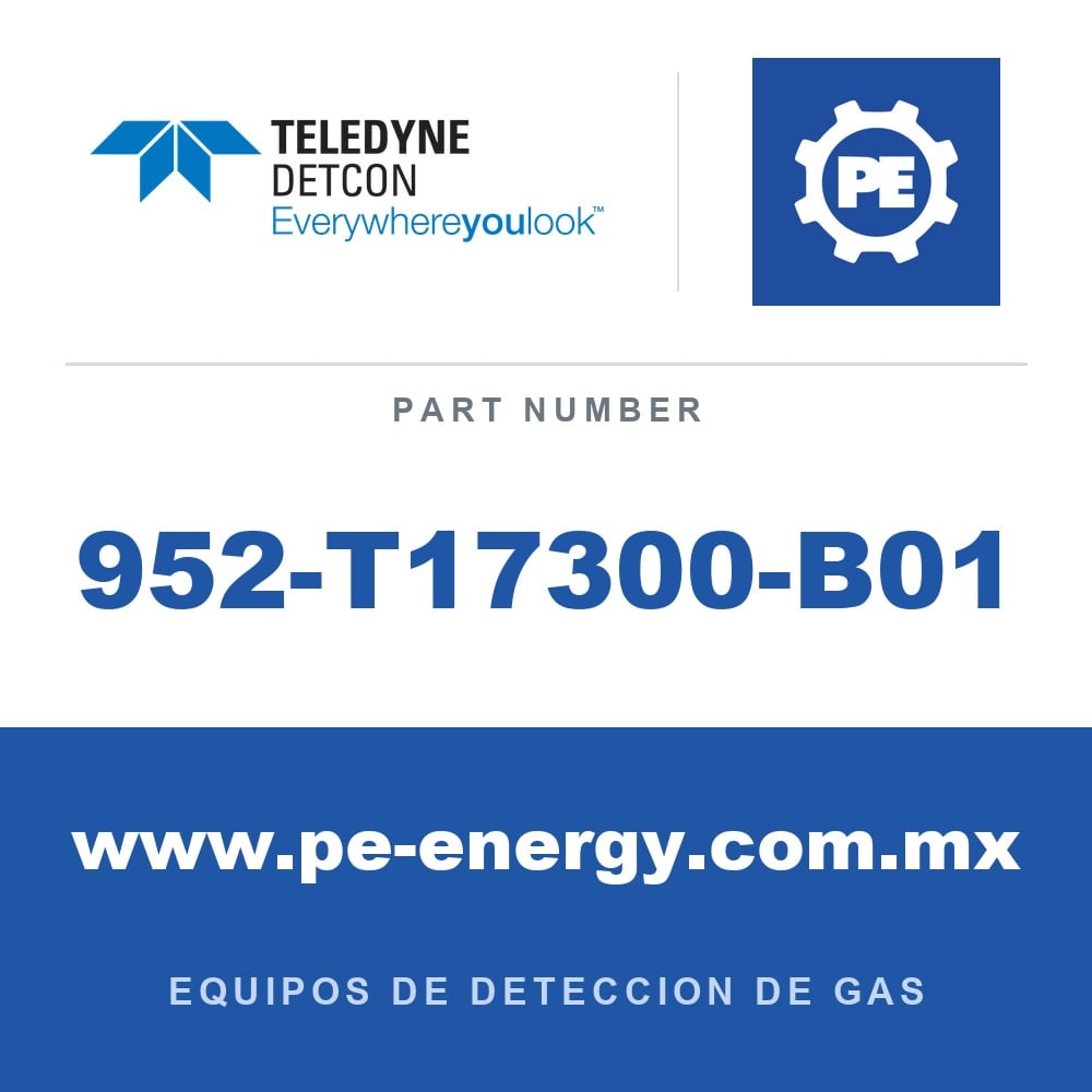Detcon 952-T17300-B01 - Teledyne Detcon 952-T17300-B01 Analizador Model 1000, canal único, 0-25ppm H2S con falla de flujo de aire