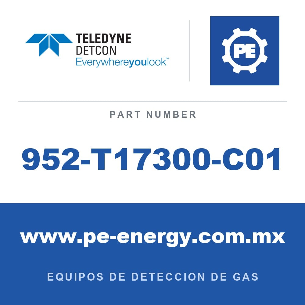 Detcon 952-T17300-C01 - Teledyne Detcon 952-T17300-C01 Analizador Model 1000, canal único, 0-50ppm H2S con falla de flujo de aire