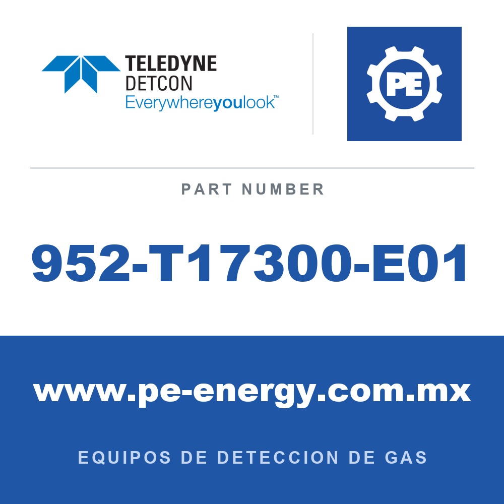 Detcon 952-T17300-E01 - Teledyne Detcon 952-T17300-E01 Analizador Model 1000, canal único, 0-500ppm H2S con falla de flujo de aire