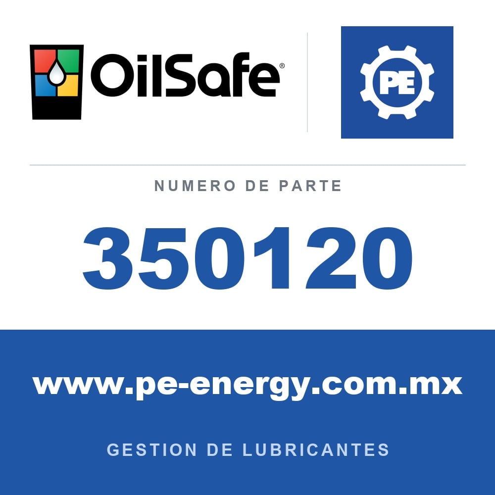 OilSafe 350120 - OilSafe Cargador de batería de 1 hora/60 minutos (Li Ion) 110V/60 HZ 18.5v