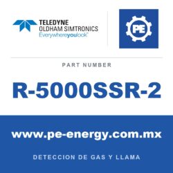 Oldham Simtronics R-5000SSR-2 - Oldham Simtronics R-5000SSR-2 Módulo de pantalla con relés, carcasa de acero inoxidable (usar solo con unidades de fuente de 4-20mA)