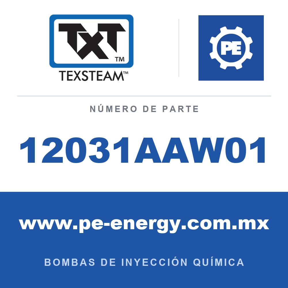 Texsteam 12031AAW01 Bomba: 1203 BOMBA (PUM) DI B/B C/ 5GAL TANQUE (TK)