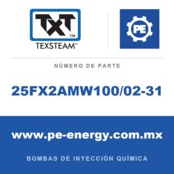 Texsteam 25FX2AMW100/02-31 Bomba - 25FX BOMBA (PUMP) DÚPLEX (DPLX) 3/8 SS BUN-TEF/B Y 1/4 SS B/B 30:1