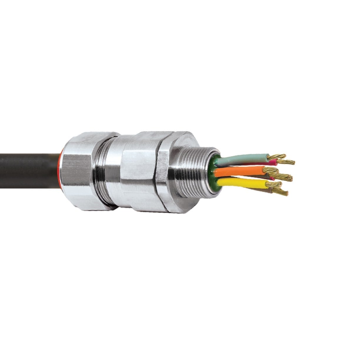 appleton px2kx rex cg