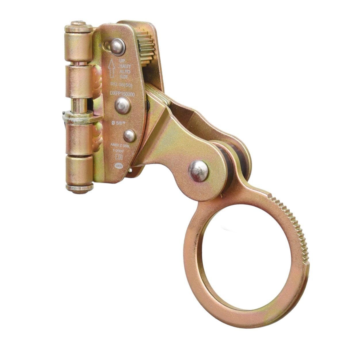 dewalt fall protection